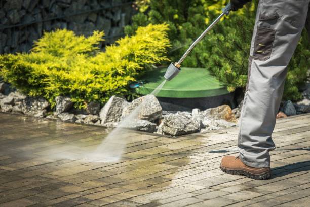 Best Solar Panel Cleaning  in Forsyth, GA